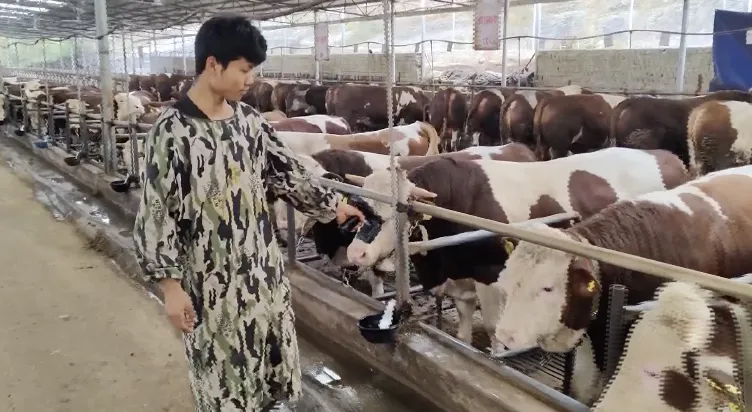贵州东彩