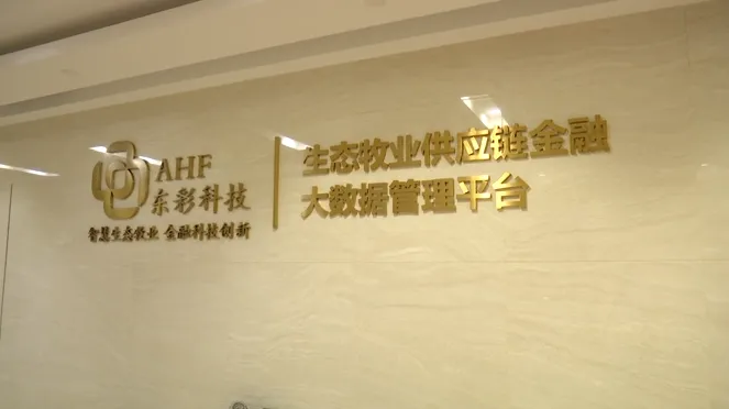 贵州东彩